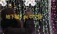 地下城3 pc中文版