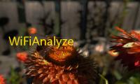 WiFiAnalyzer汉化版